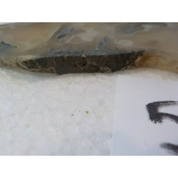 Ochoco Oregon Tube Agate Rock Slab White Gray & Blue Translucent Silica Rich - Picture 7 of 7